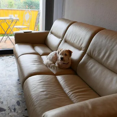 Ferienwohnung Pantke Lejlighed *
